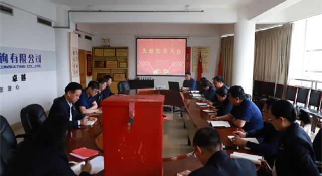 东泰咨询总部机关支部组织召开换届选举党员大会